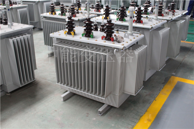 松原S22-100KVA/10KV/0.4KV变压器